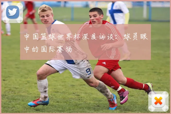 中国篮球世界杯深度访谈:球员眼中的国际赛场