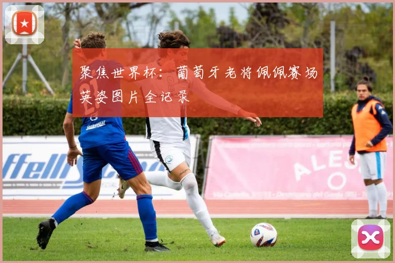 聚焦世界杯：葡萄牙老将佩佩赛场英姿图片全记录
