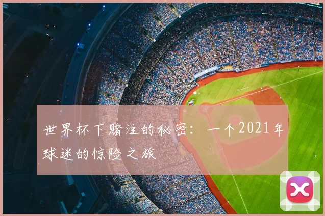 世界杯下赌注的秘密:一个2021年球迷的惊险之旅