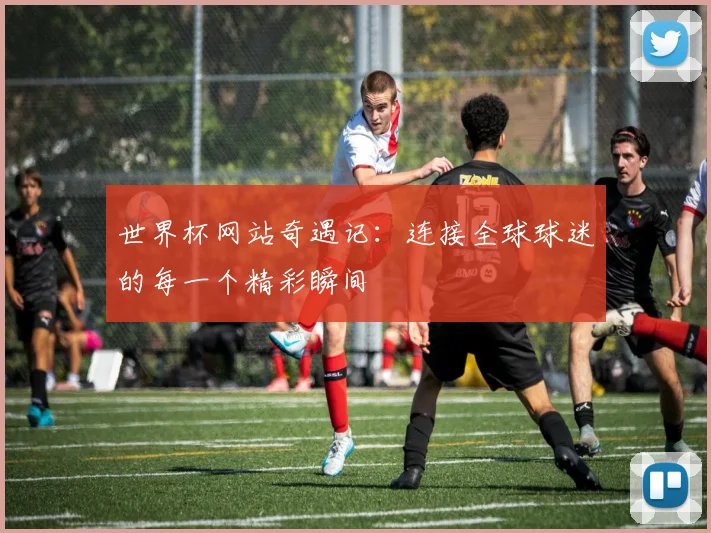 世界杯网站奇遇记：连接全球球迷的每一个精彩瞬间