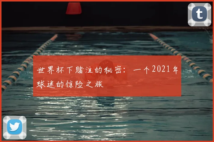 世界杯下赌注的秘密:一个2021年球迷的惊险之旅