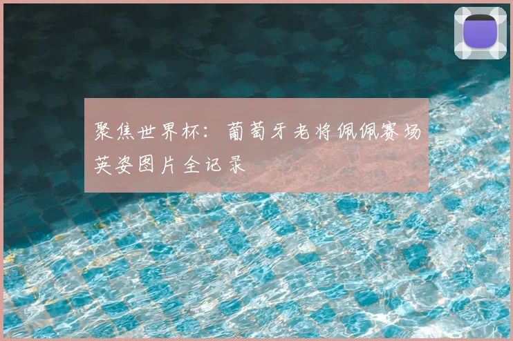 聚焦世界杯：葡萄牙老将佩佩赛场英姿图片全记录